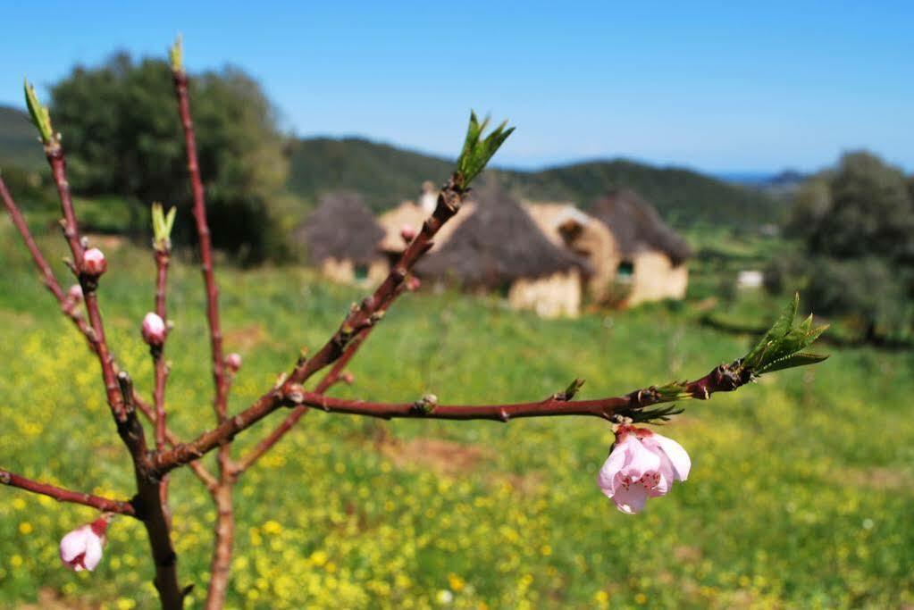 Essenza Sardegna Hotel Torpè Buitenkant foto
